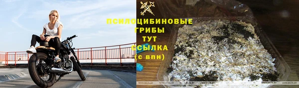 2c-b Вяземский