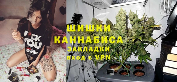 2c-b Вяземский
