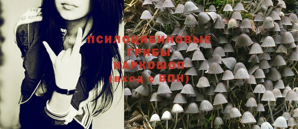 a pvp Вязники