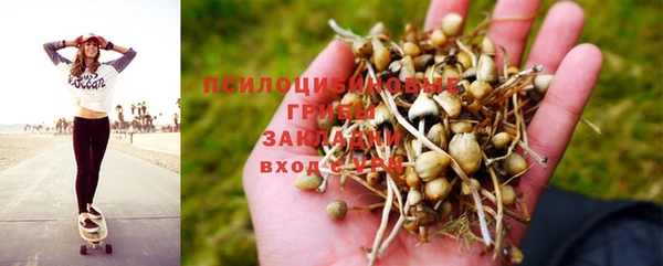 a pvp Вязники